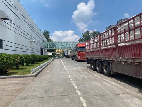 直擊河南汛情 鄭州放晴，兩大食品巨頭恢復生產，廠區門口運輸車輛排起長龍